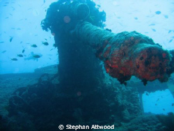 Anti aircraft Gun on the Thistlegorm wreck. by Stephan Attwood 